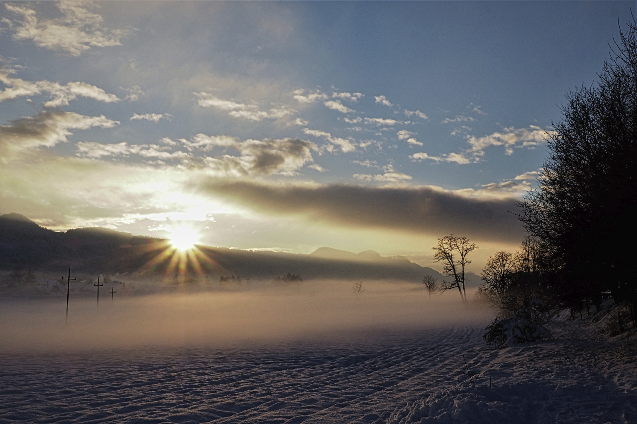 Dämmerung