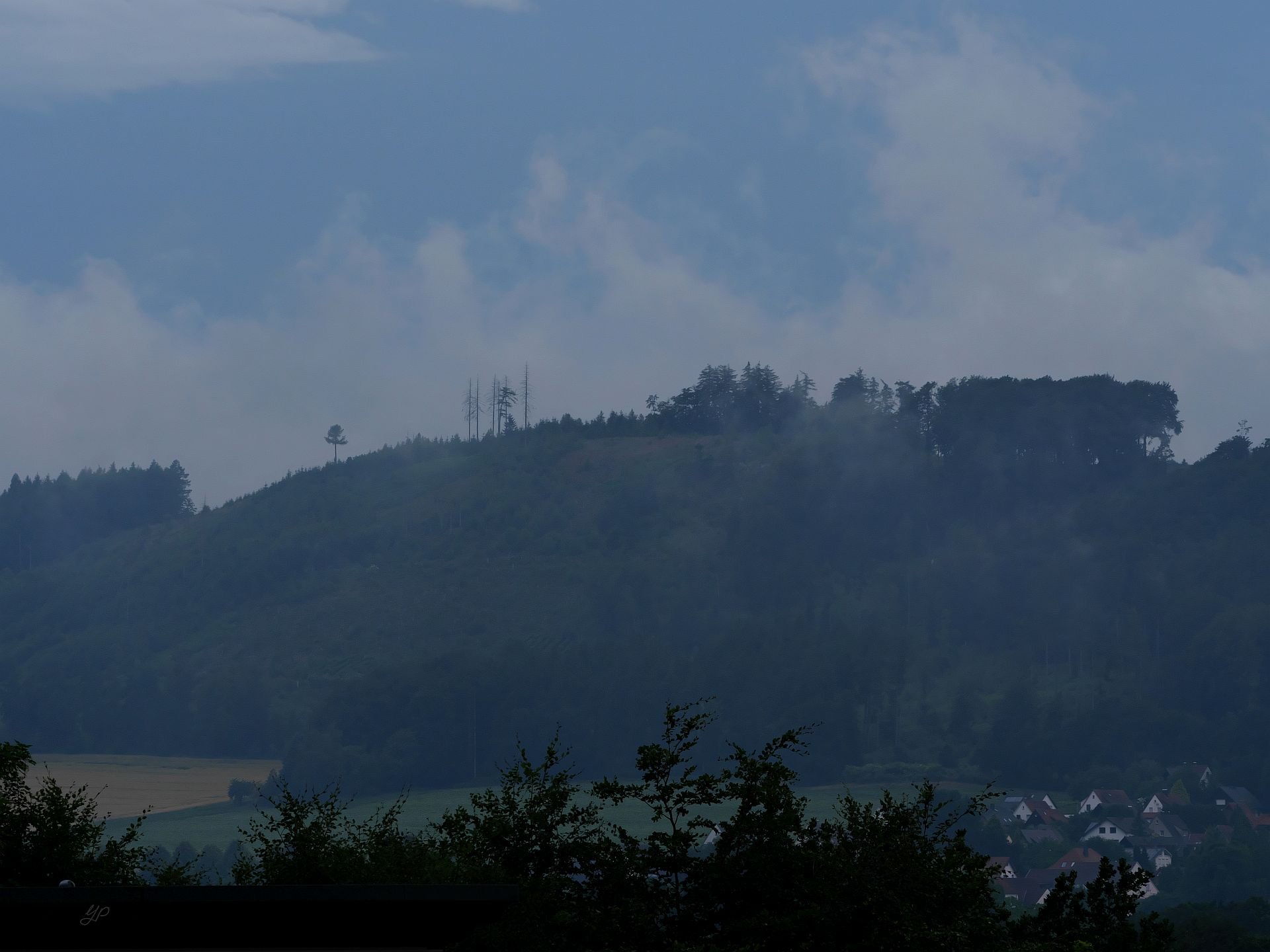 Dampfendes Wiehengebirge