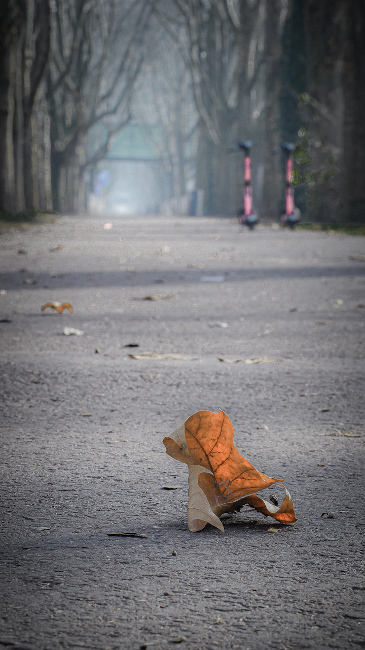 Das Blatt wendet sich...