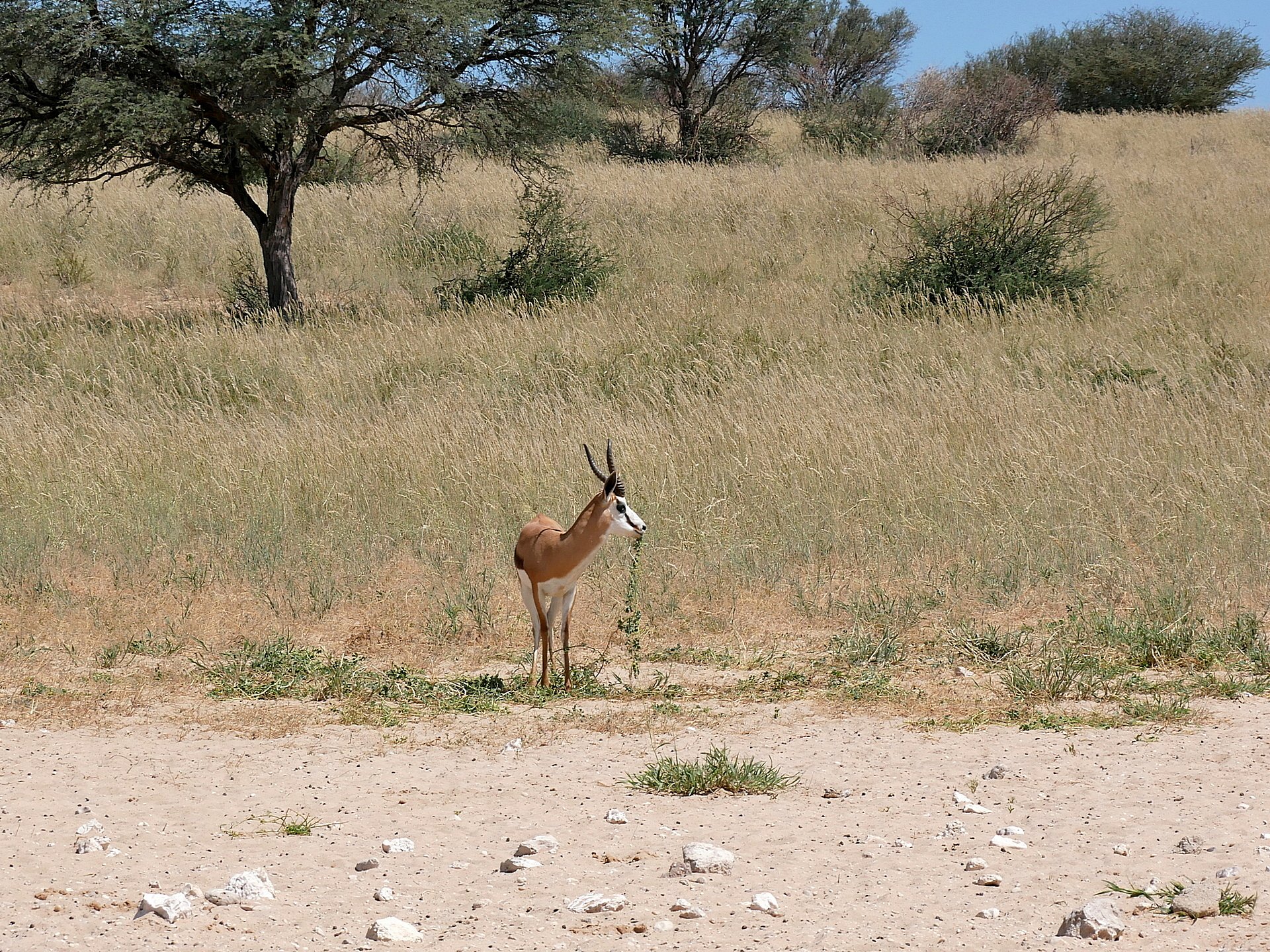 Das hört ja gar nicht auf