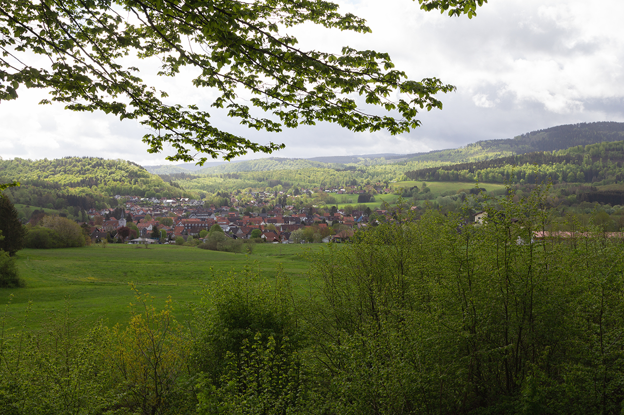 Das Jahr 2021 - Mai