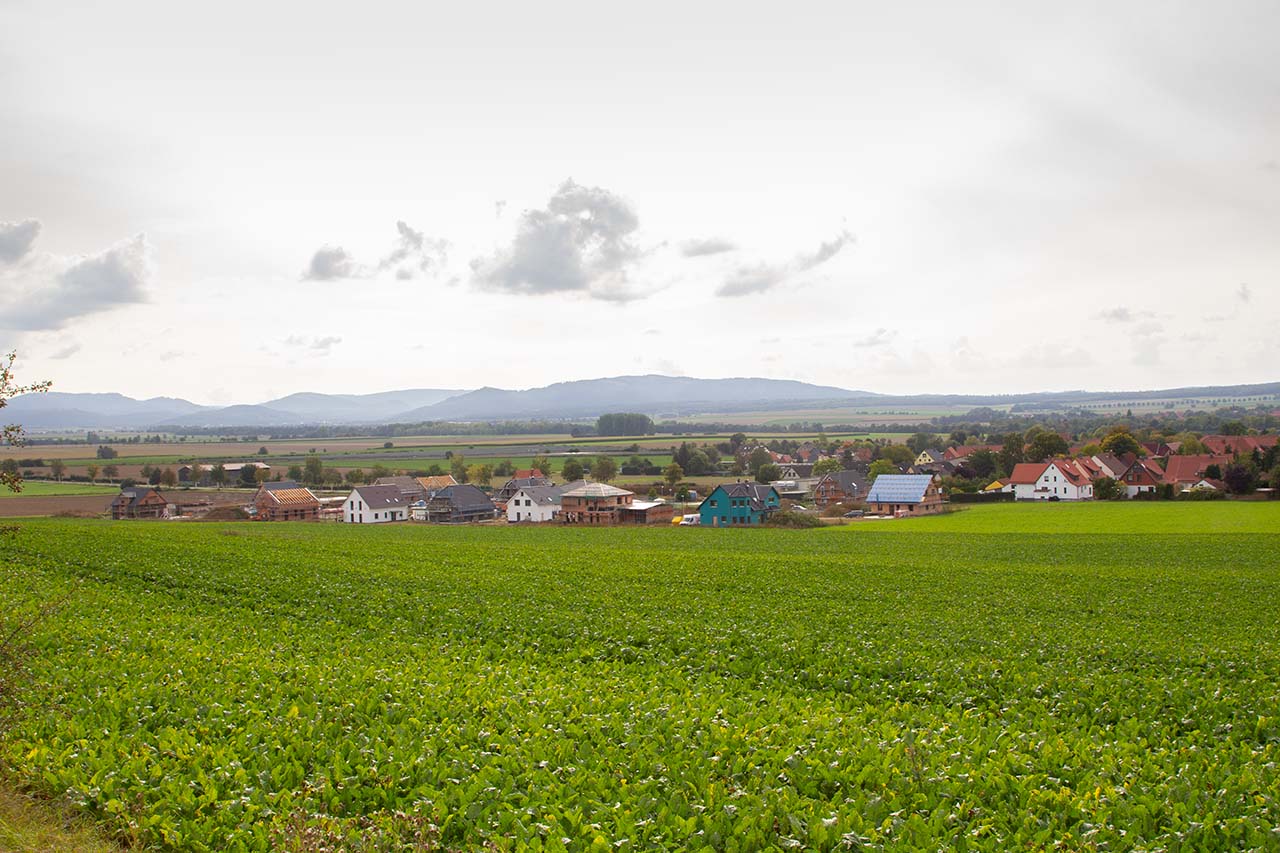 Das Jahr 2021 - September