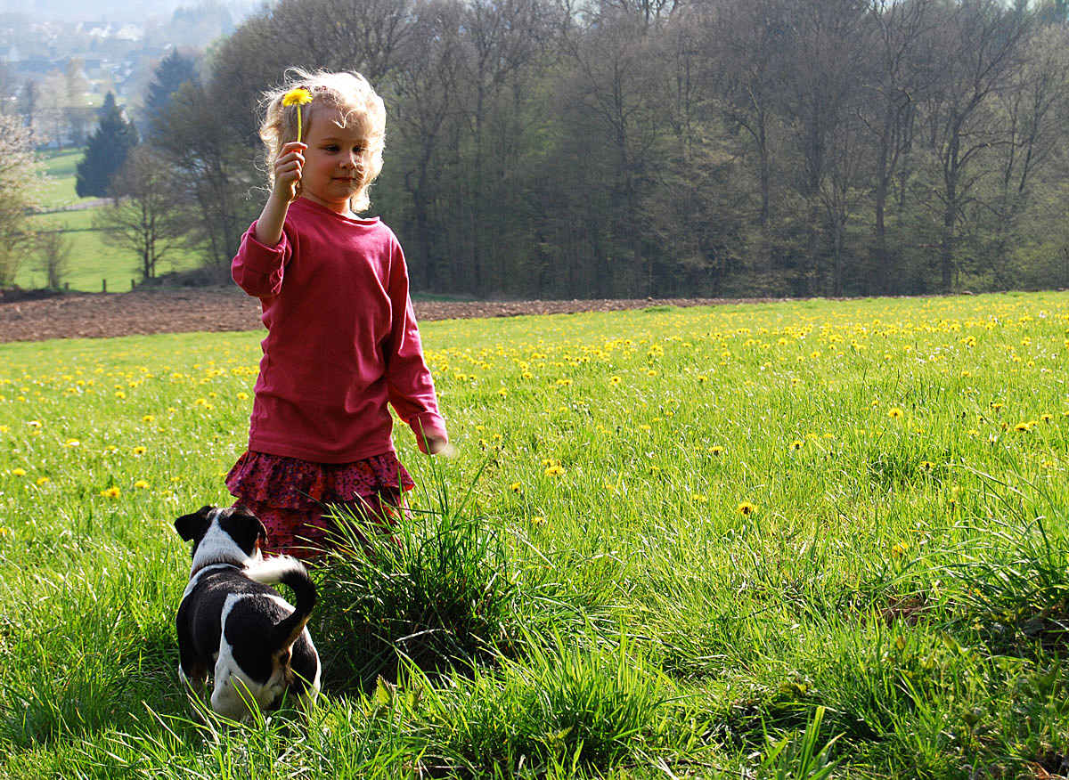 Das Mädchen mit der Pusteblume...