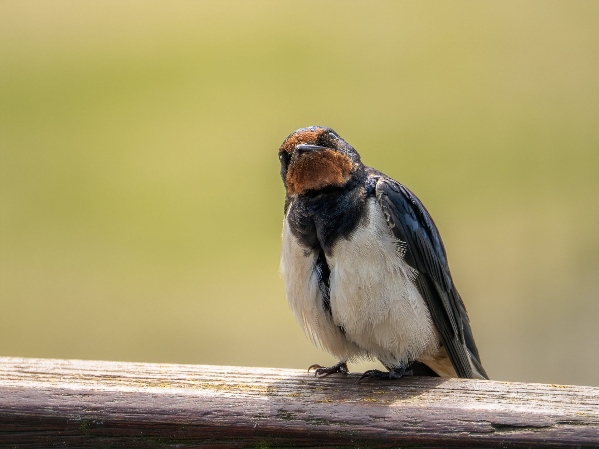 das muss ich mir genauer anschauen