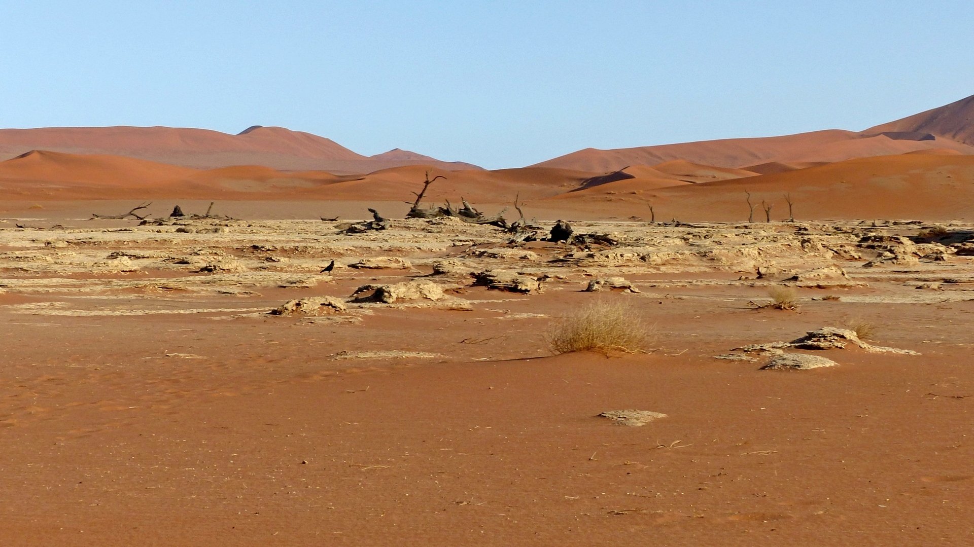 Das 'vergessene' Vlei