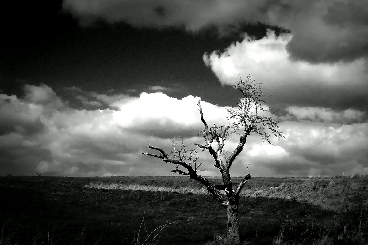 Death Valley