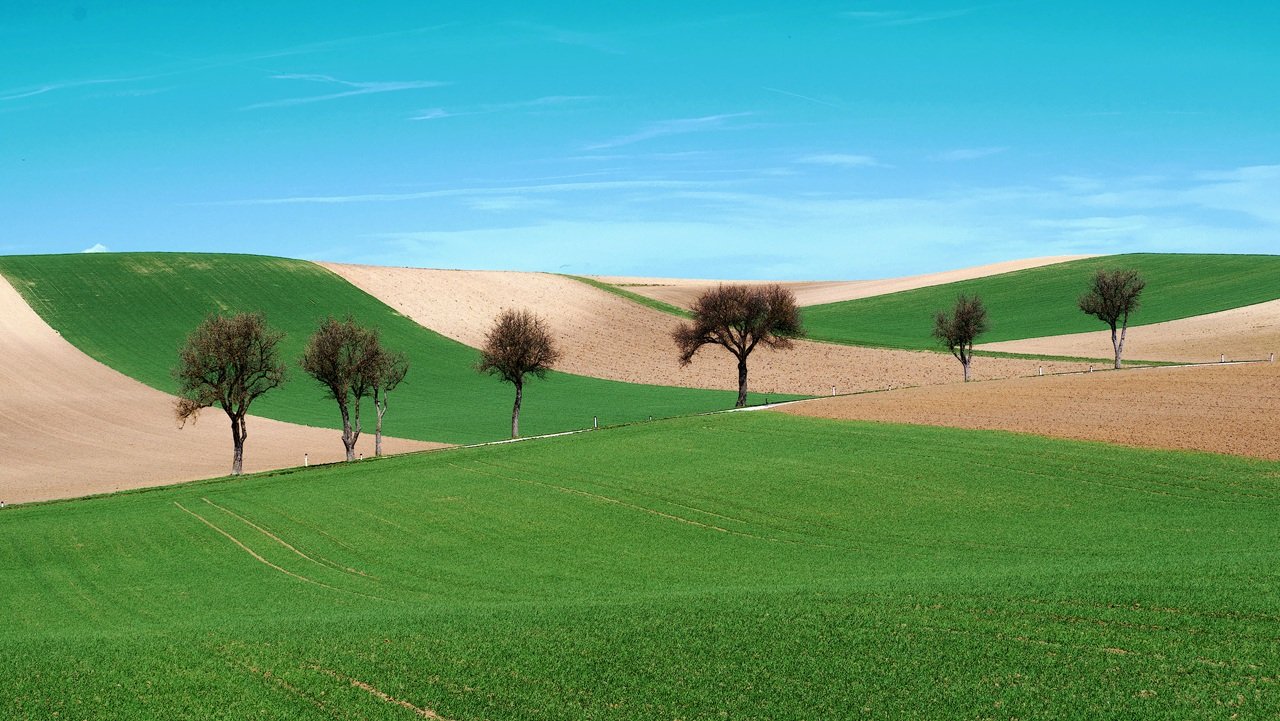 Den Frühling gesehen.