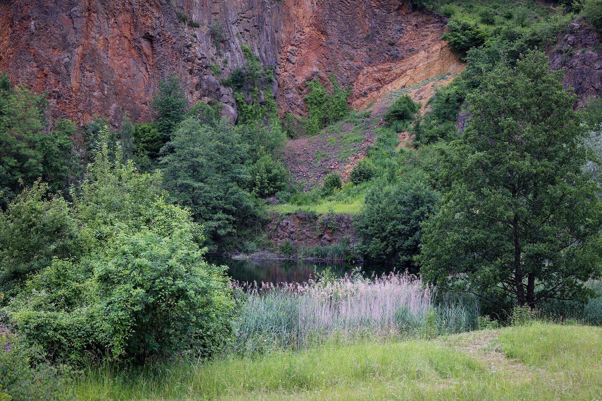 Der alte Steinbruch
