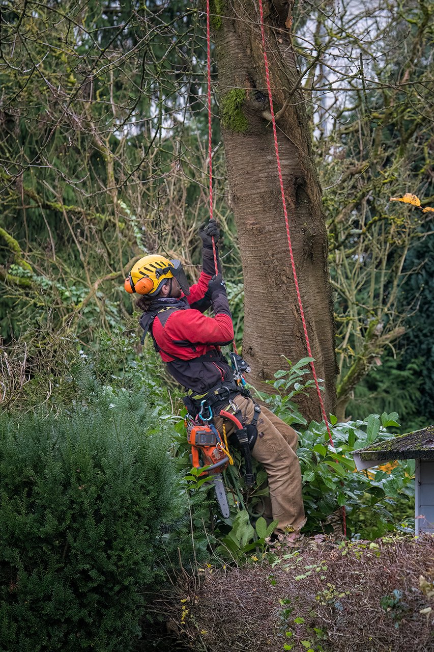 Der Aufstieg beginnt...