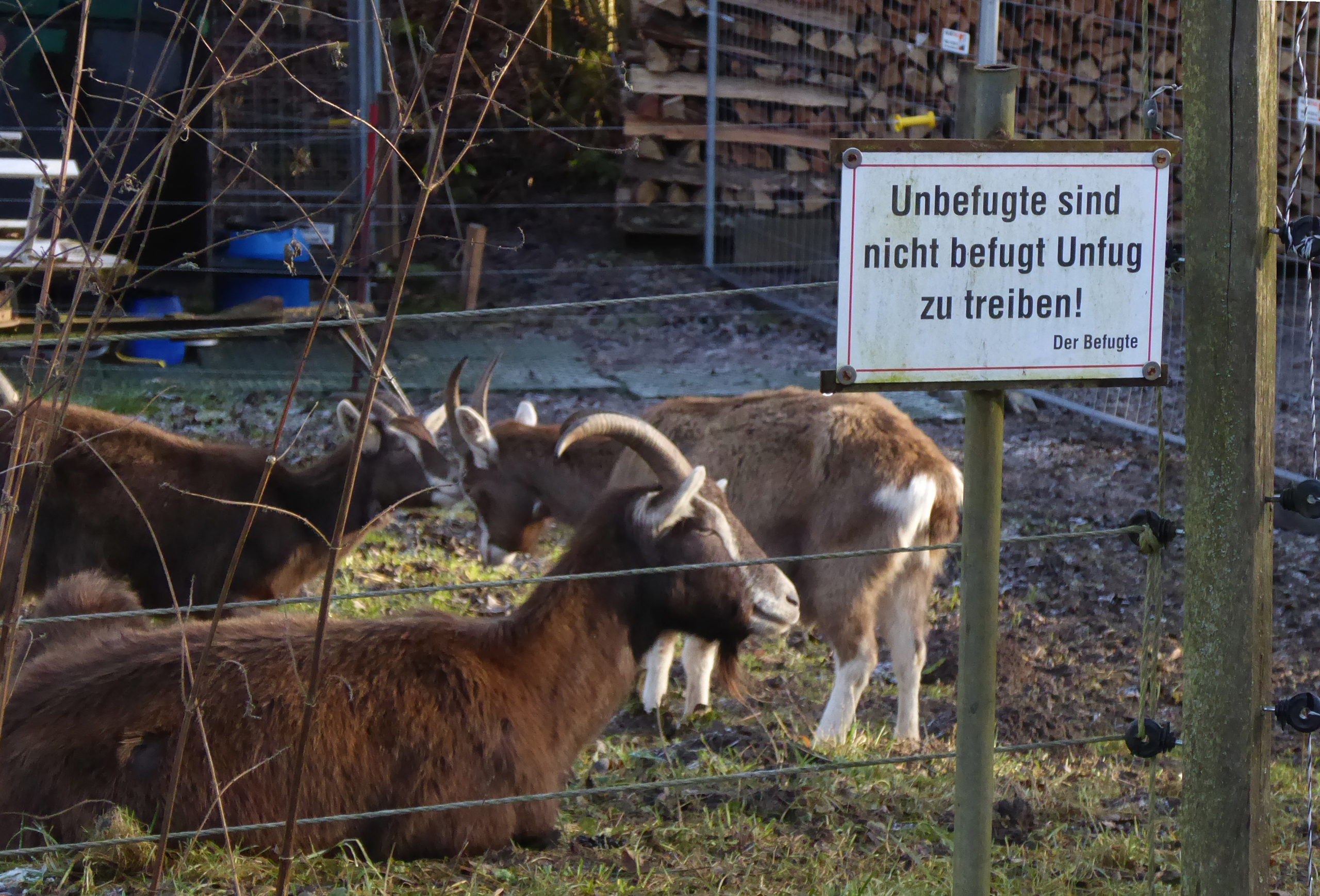 Der Befugte.jpg