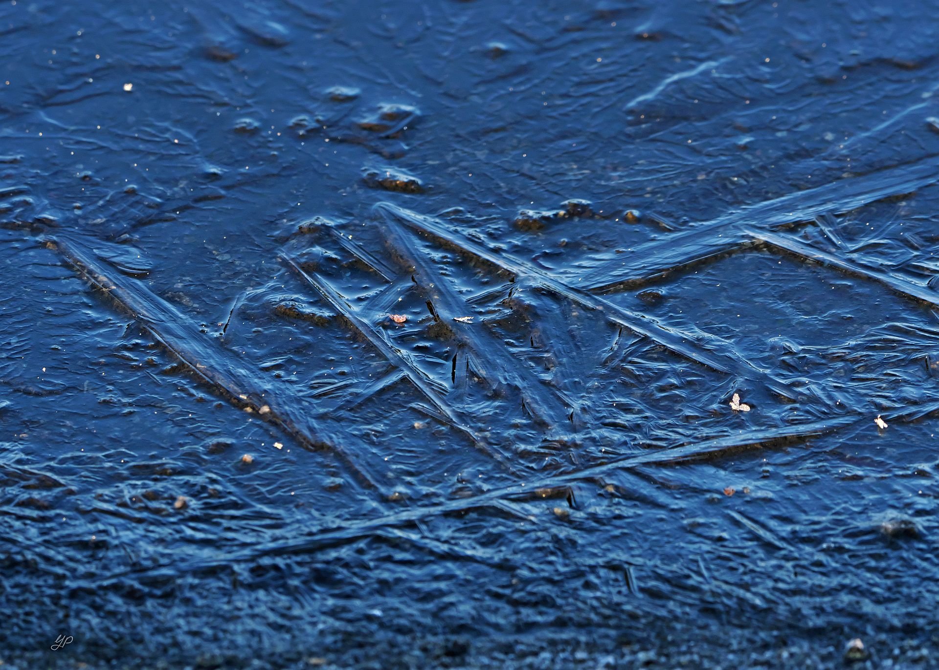 Der erste Nachtfrost