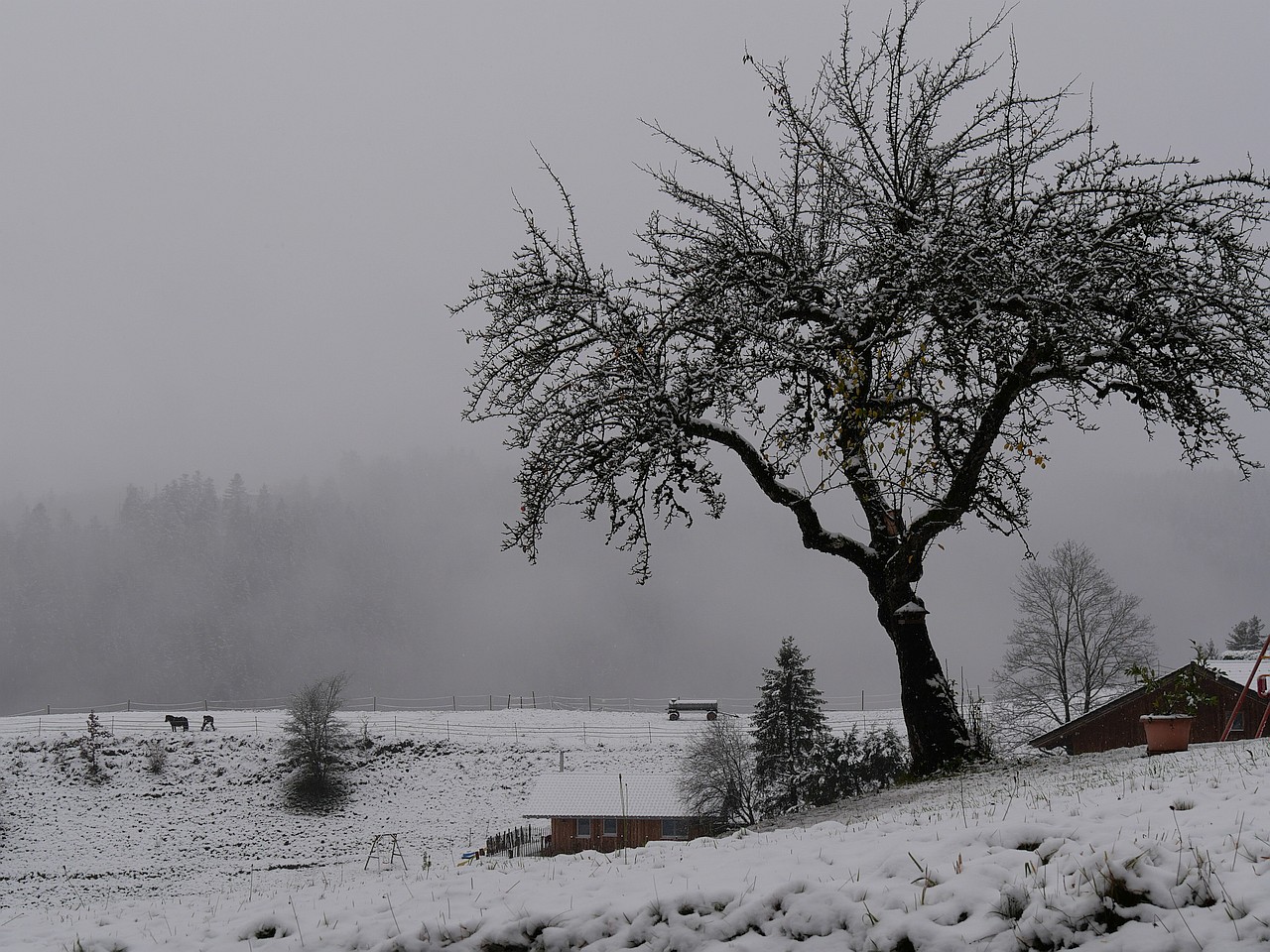 Der erste Schnee