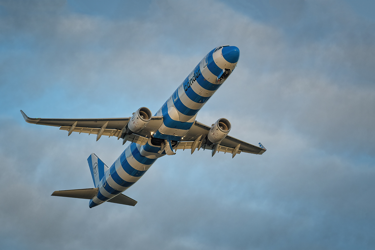 Der Flug des Zebras