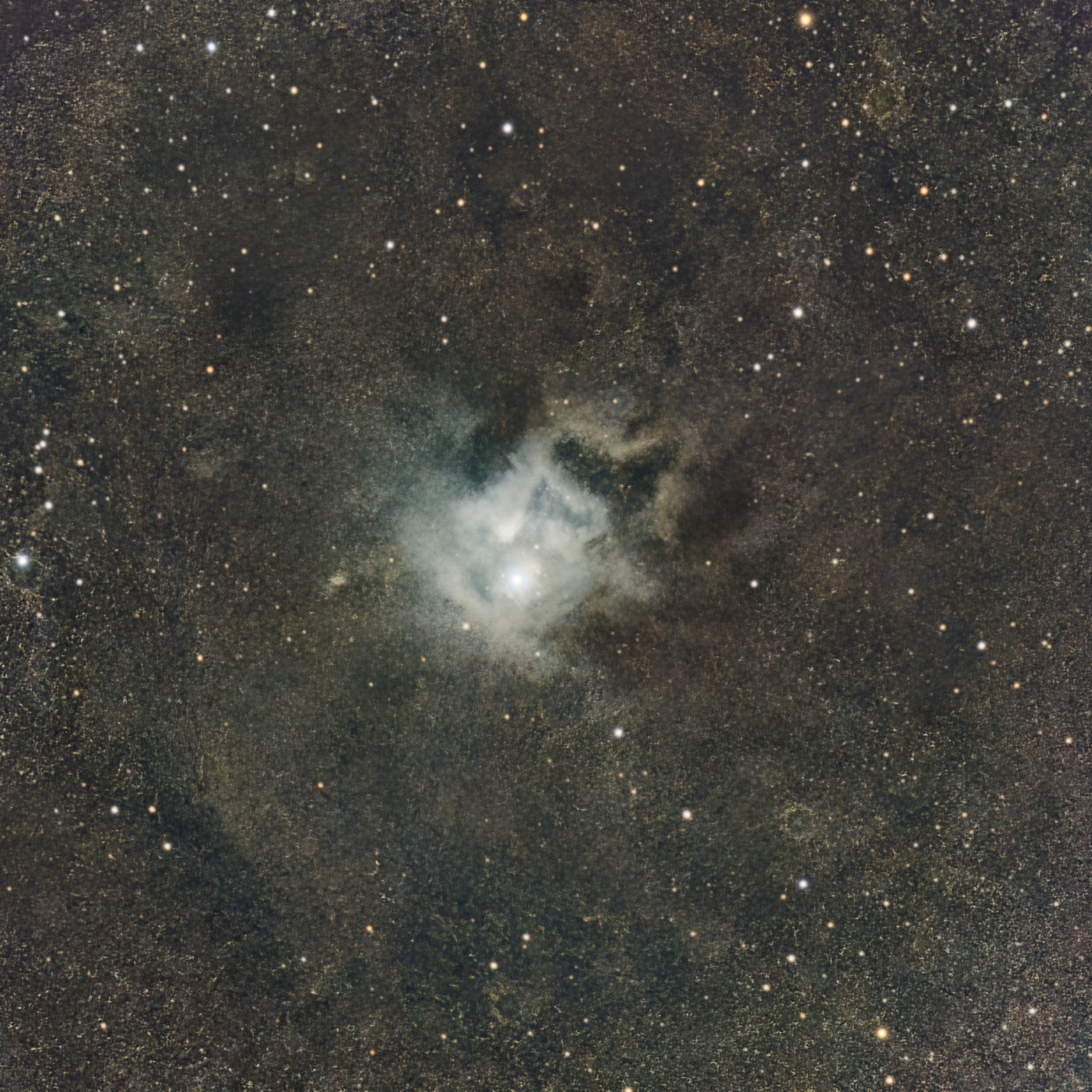 Der Irisnebel  NGC7023