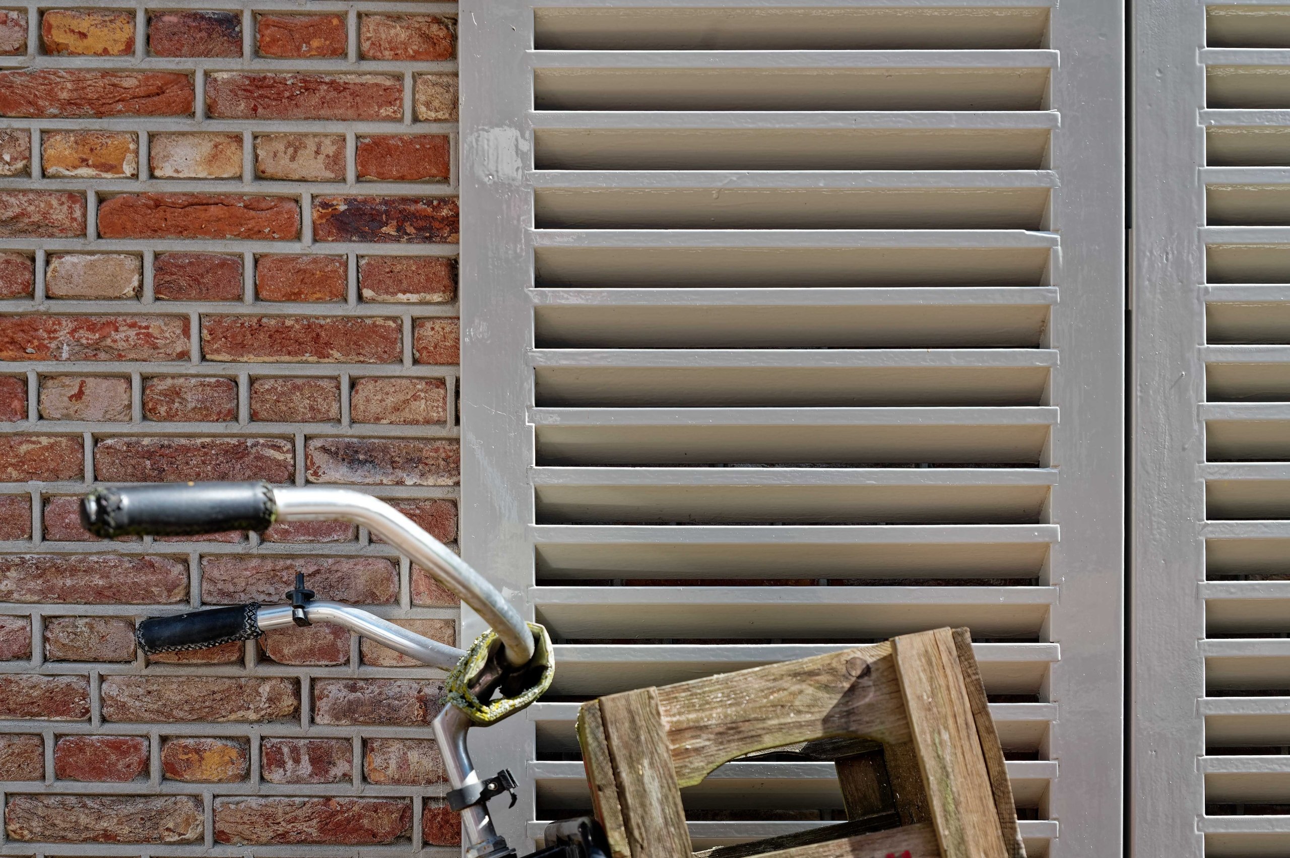 Der Lenker