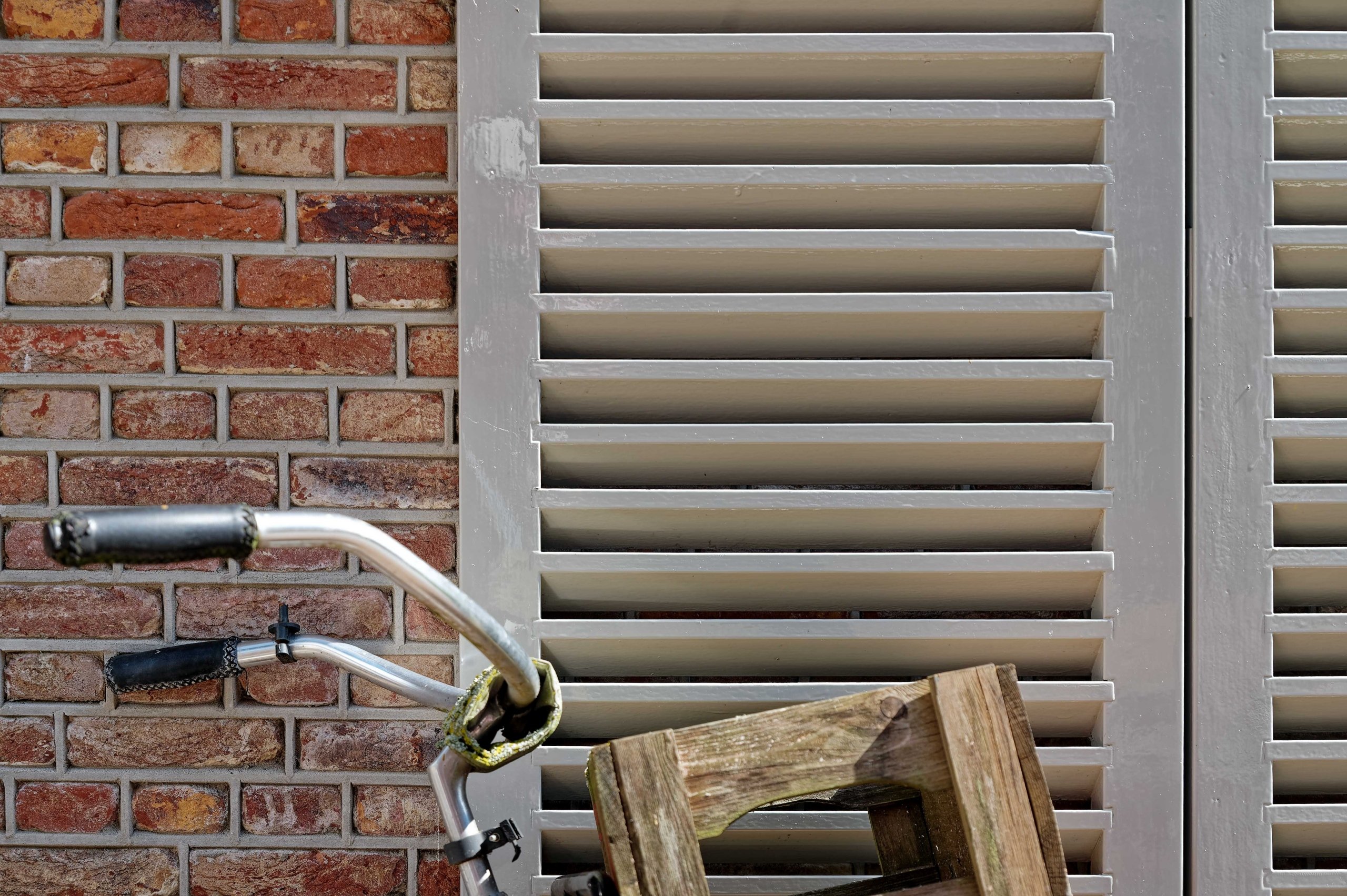 Der Lenker