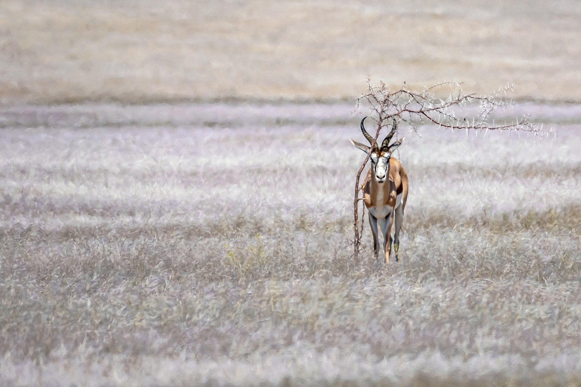 Der letzte Schatten...