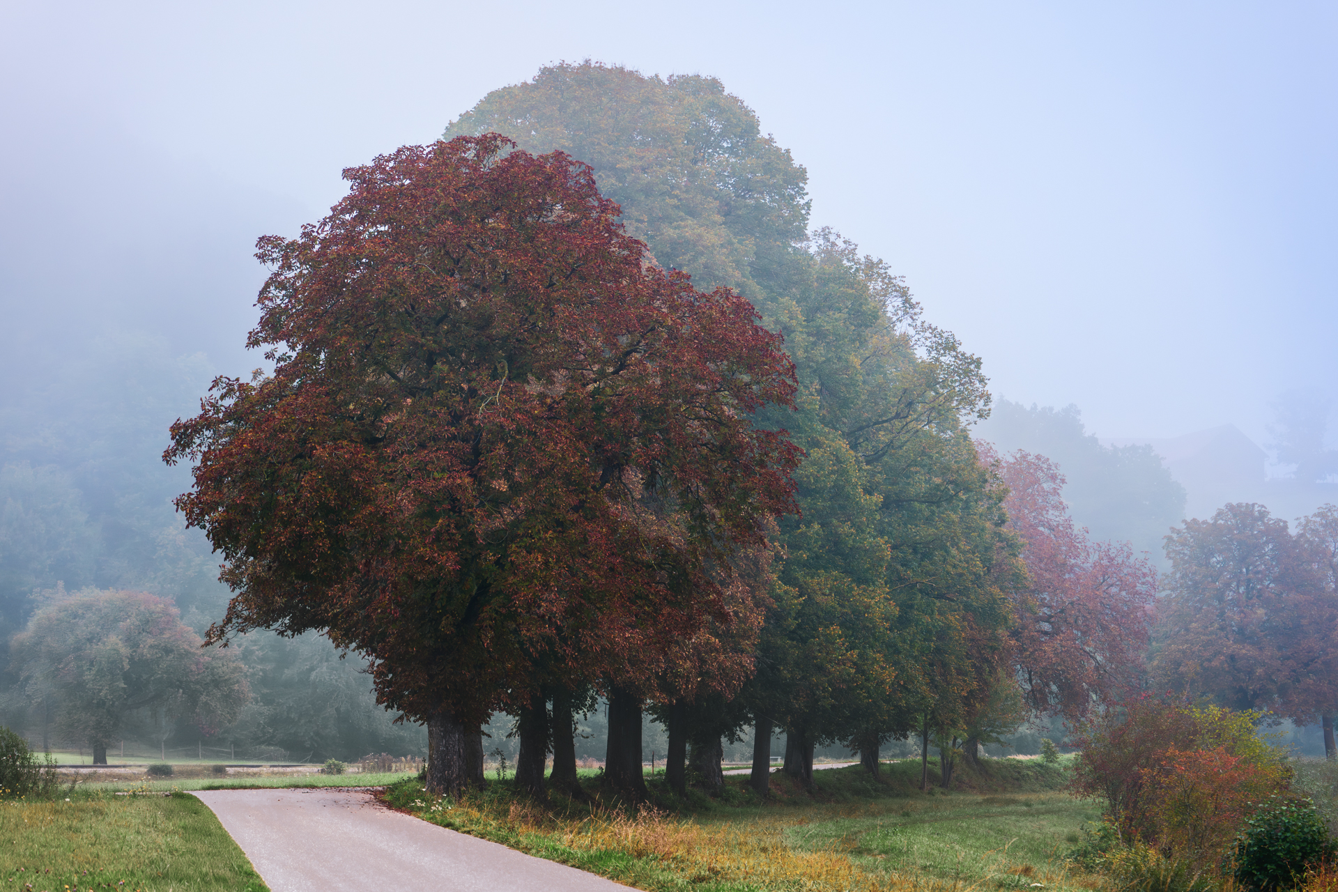 der Morgennebel lichtet sich
