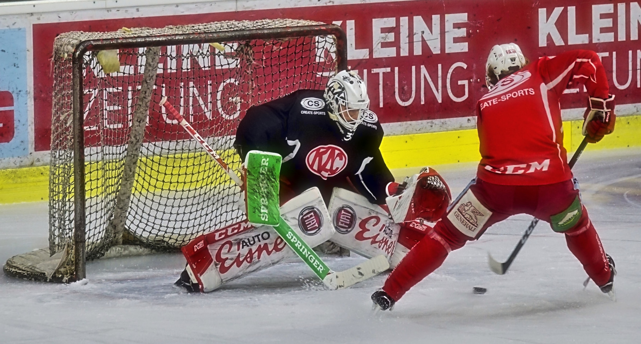 Der Puck soll ins Tor.jpg