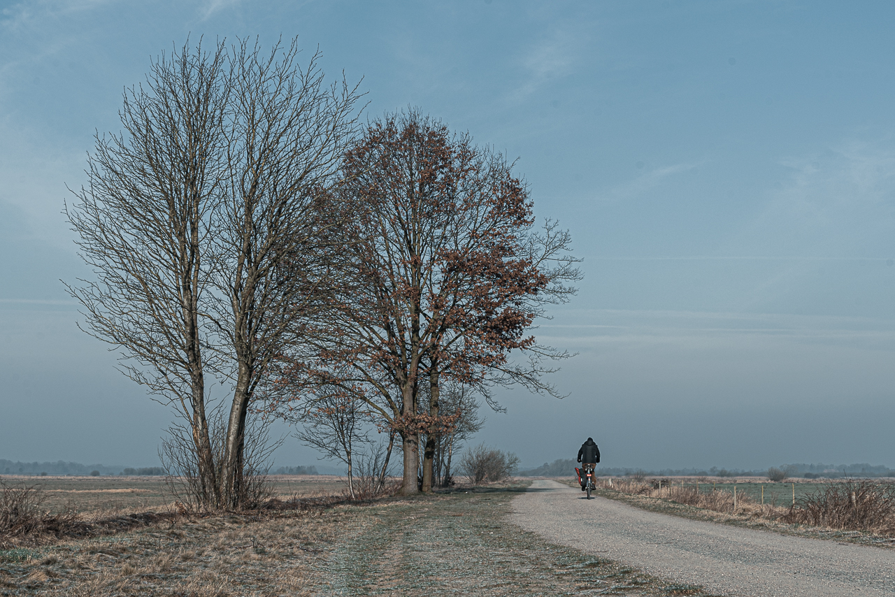 der Radfahrer