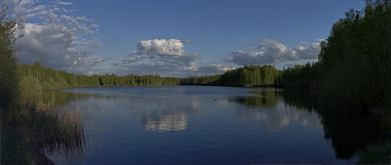 Der See im Maschener Moor.