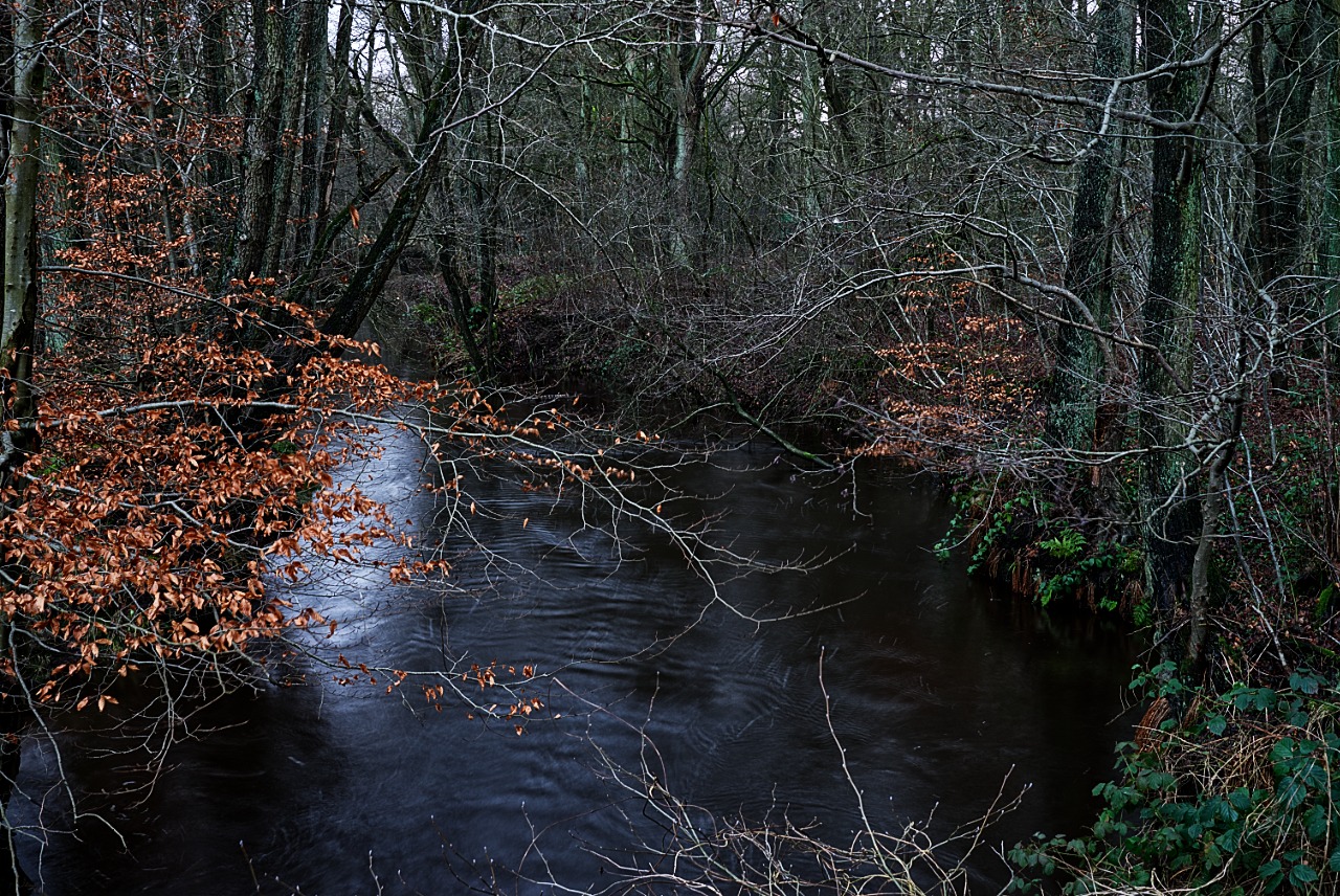 Der Seevekanal 1