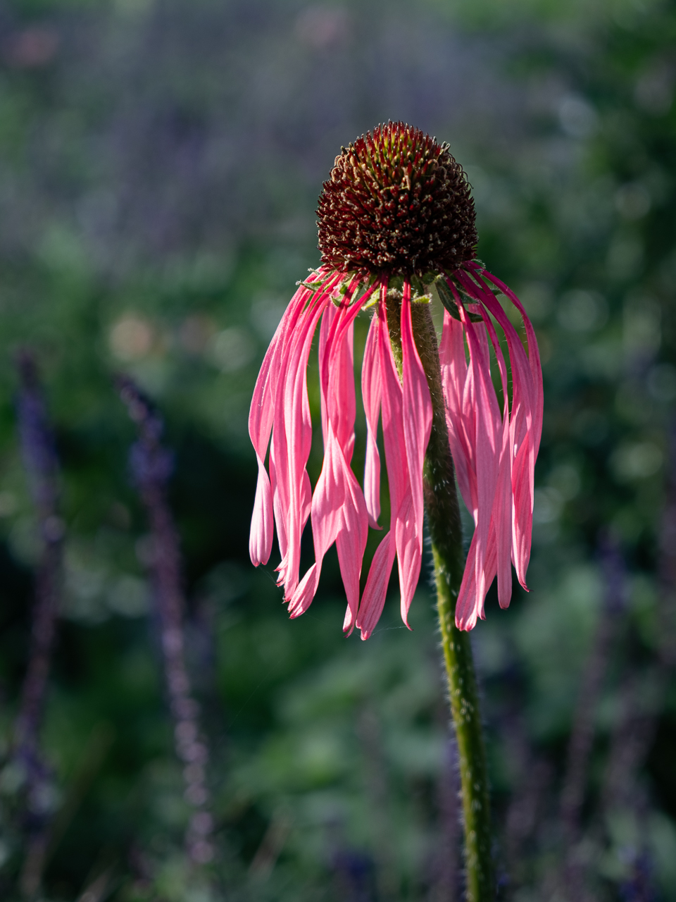 Der Sommer ist vorbei dpixx.de Forum