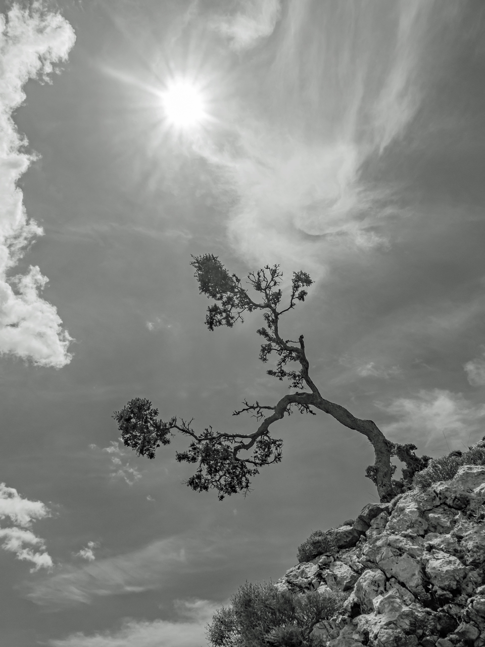 Der Sonne entgegen