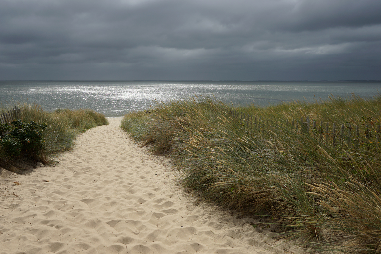 Der Weg zum Meer