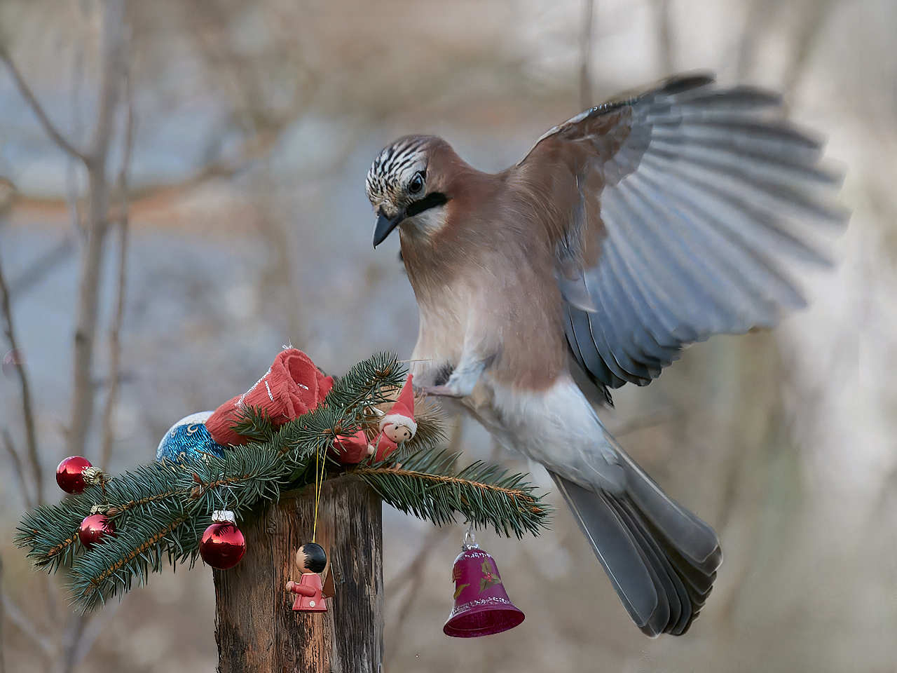 Der Weihnachtsmann war knausrig