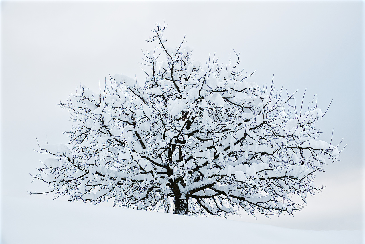 Der Winter ist so schön