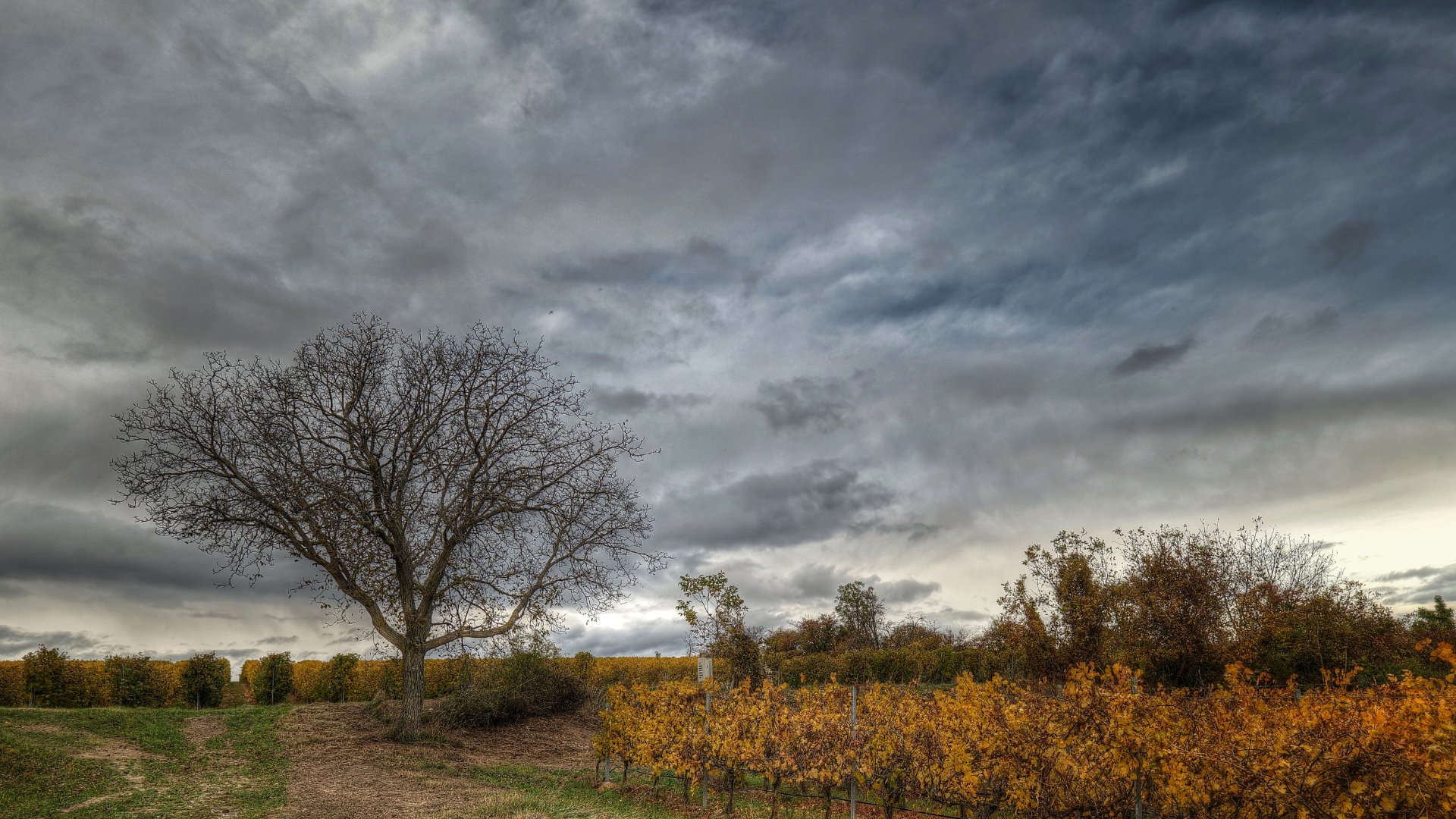 Der Winter kann kommen ....