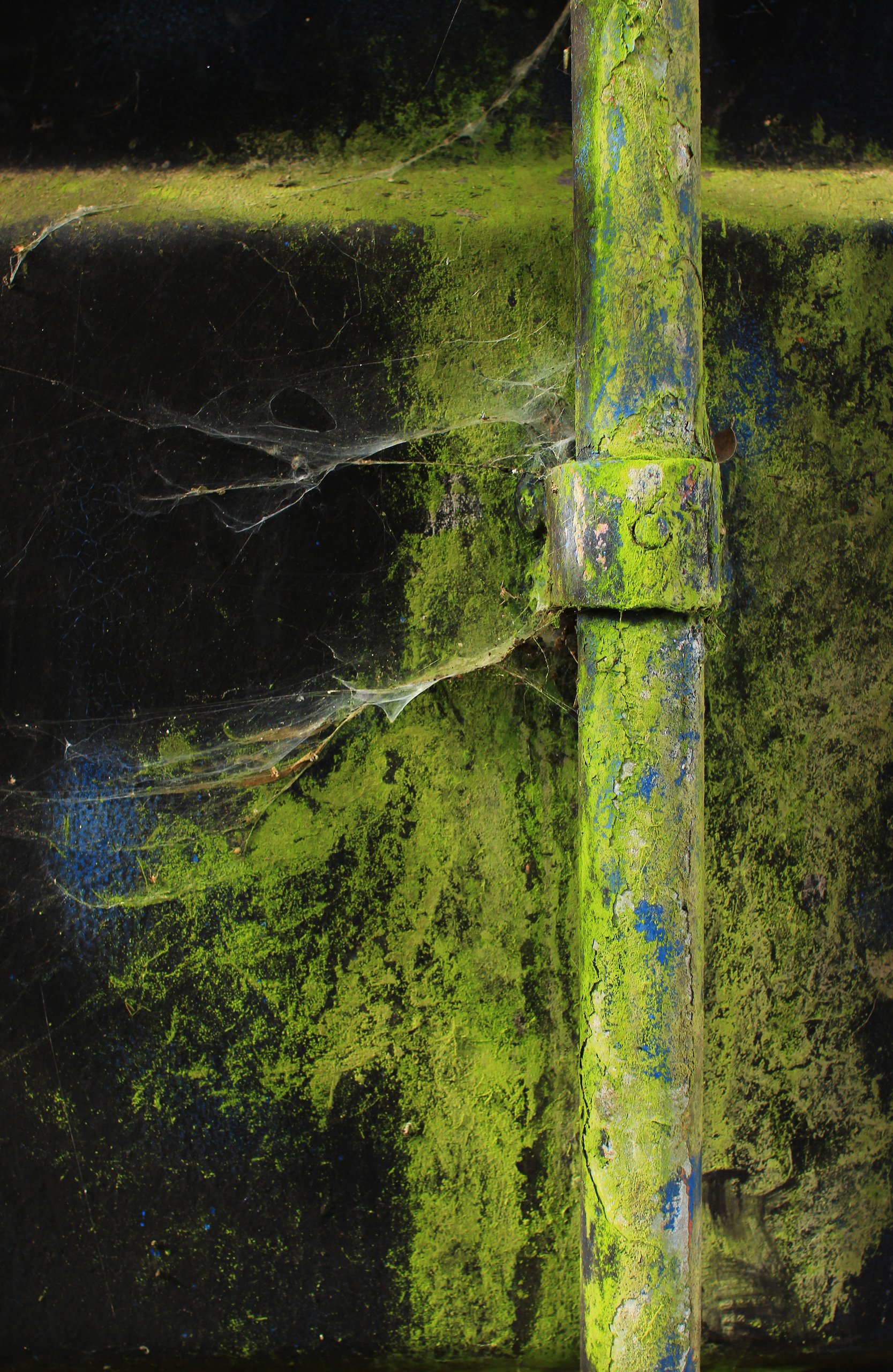 Der Zahn der Zeit.jpg