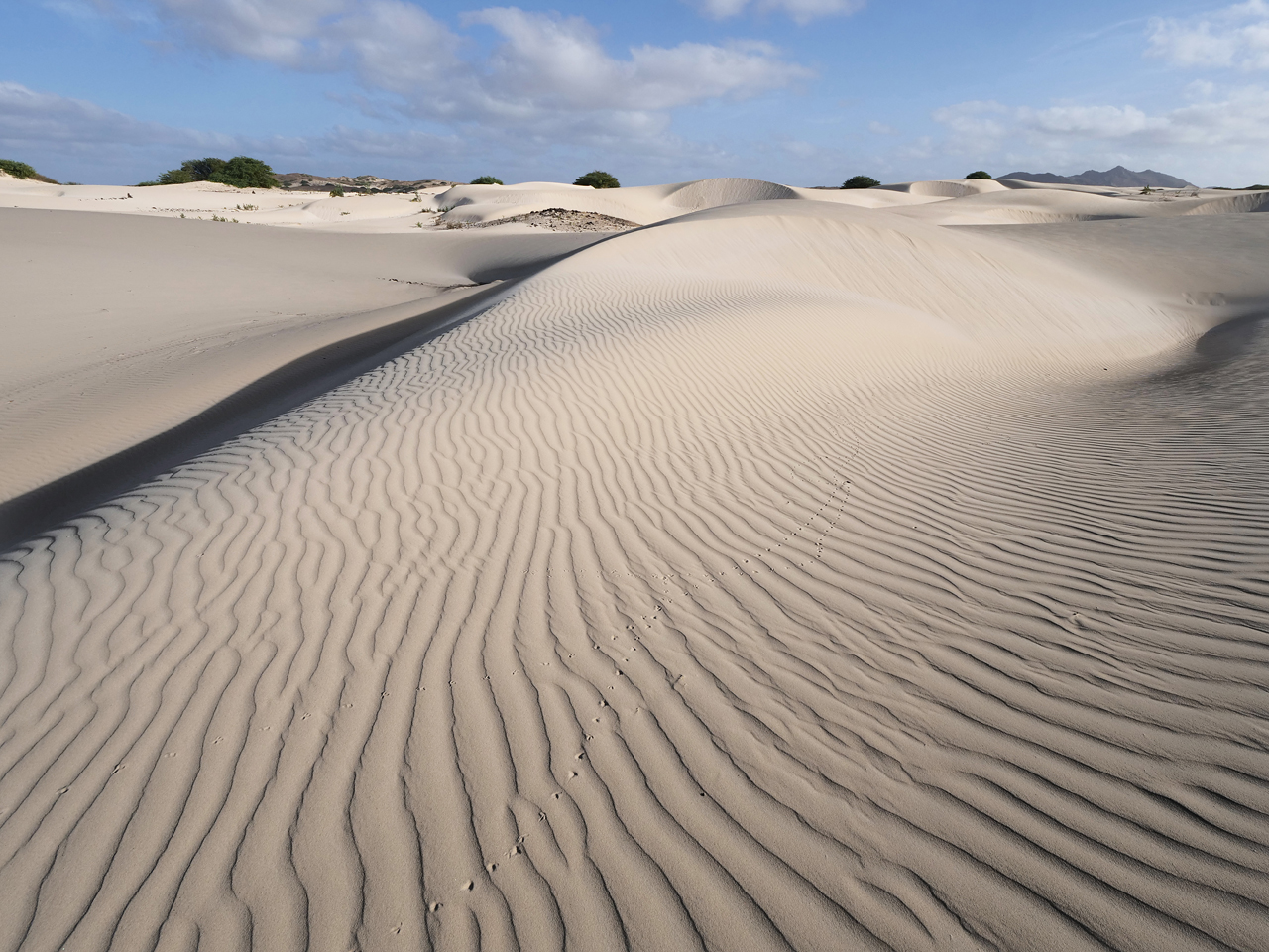 Deserto de Viana