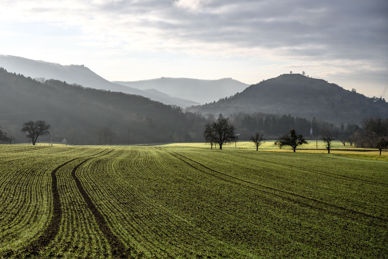 Die Alb von unten