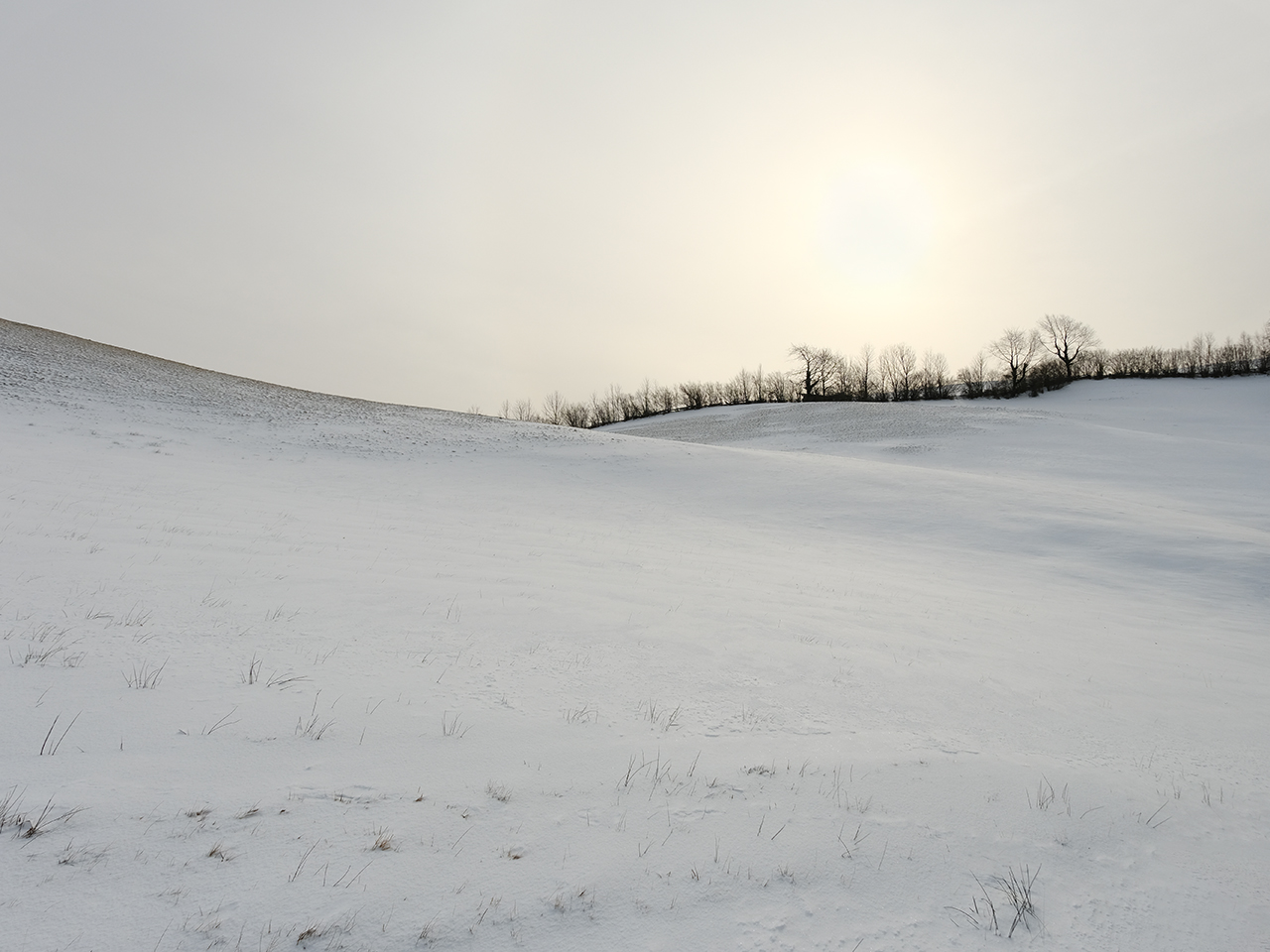 die Einsamkeit des Winters