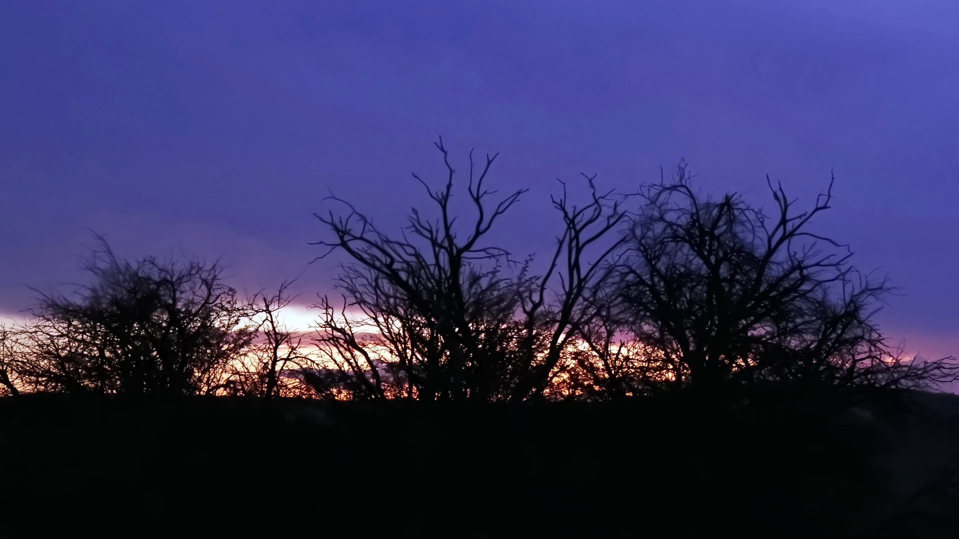 Die Farbe Violett