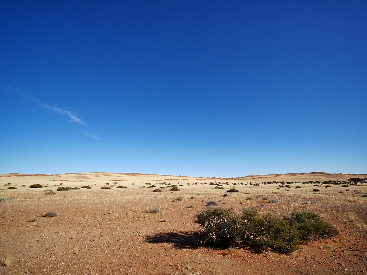 Die Namib