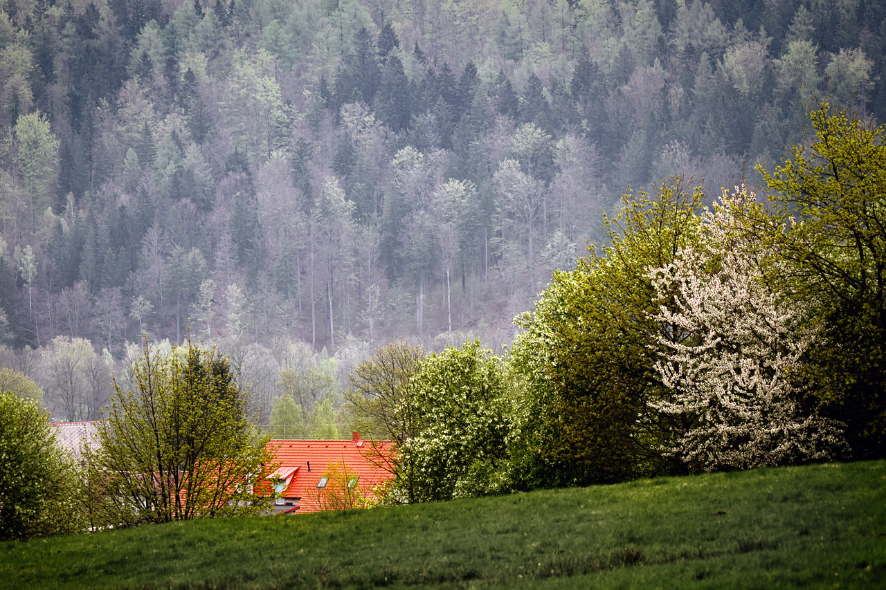 Die Natur erwacht