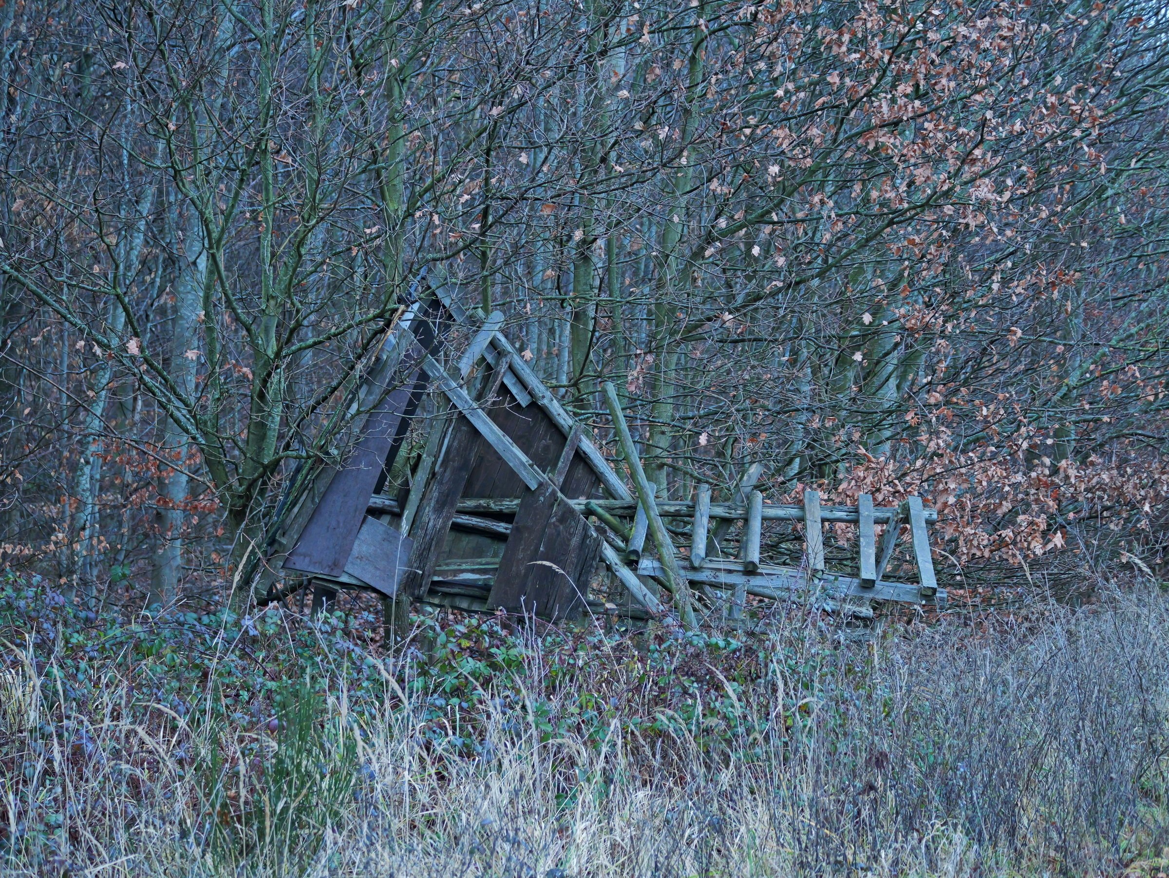 Die Rache der Schwarzkittel