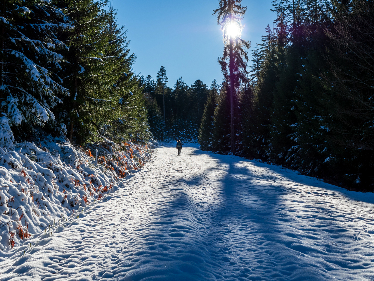 Die Ruhe beim wandern genießen