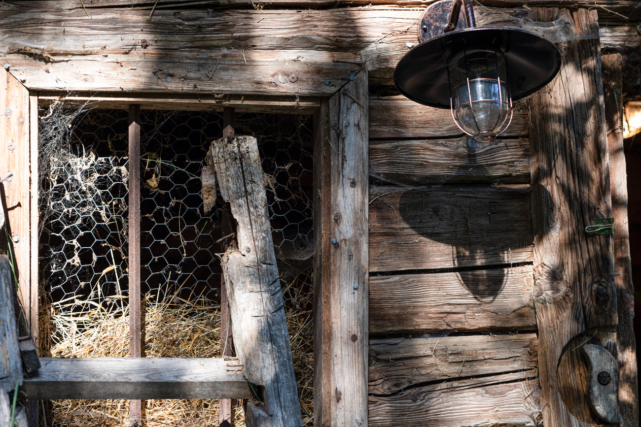 Die Schatten-Lampe