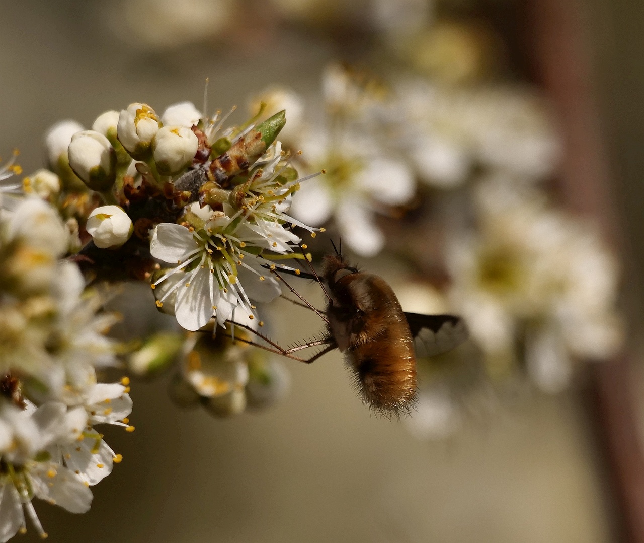 Die Schönheit der Natur II