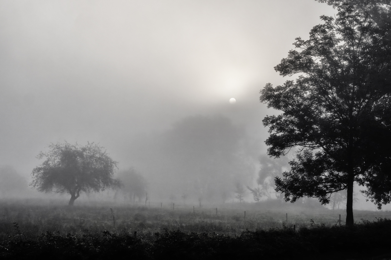 Die Sonne kommt durch