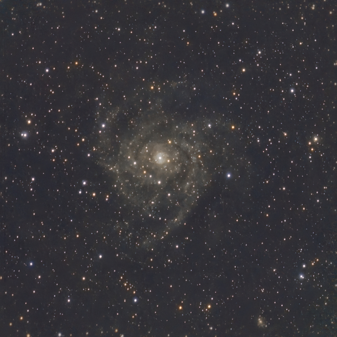 Die verborgene Galaxie  IC 342 / C5