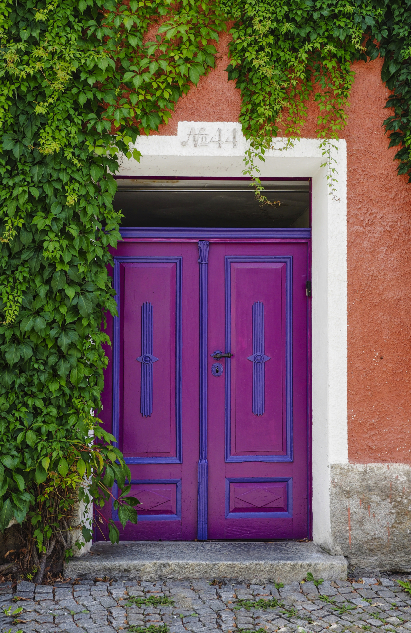 Die violette Tür