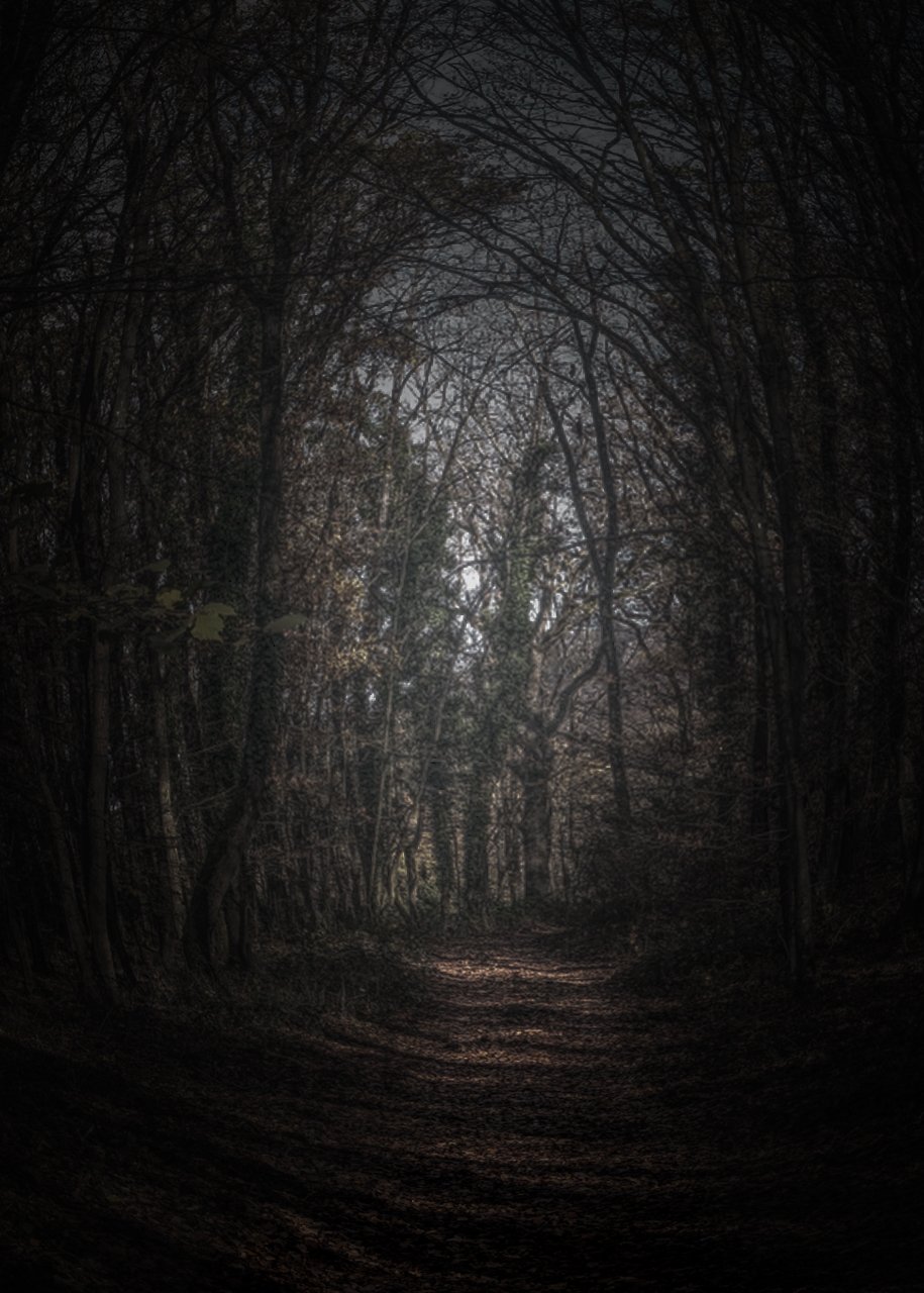 Dieser Weg wird kein Leichter sein...