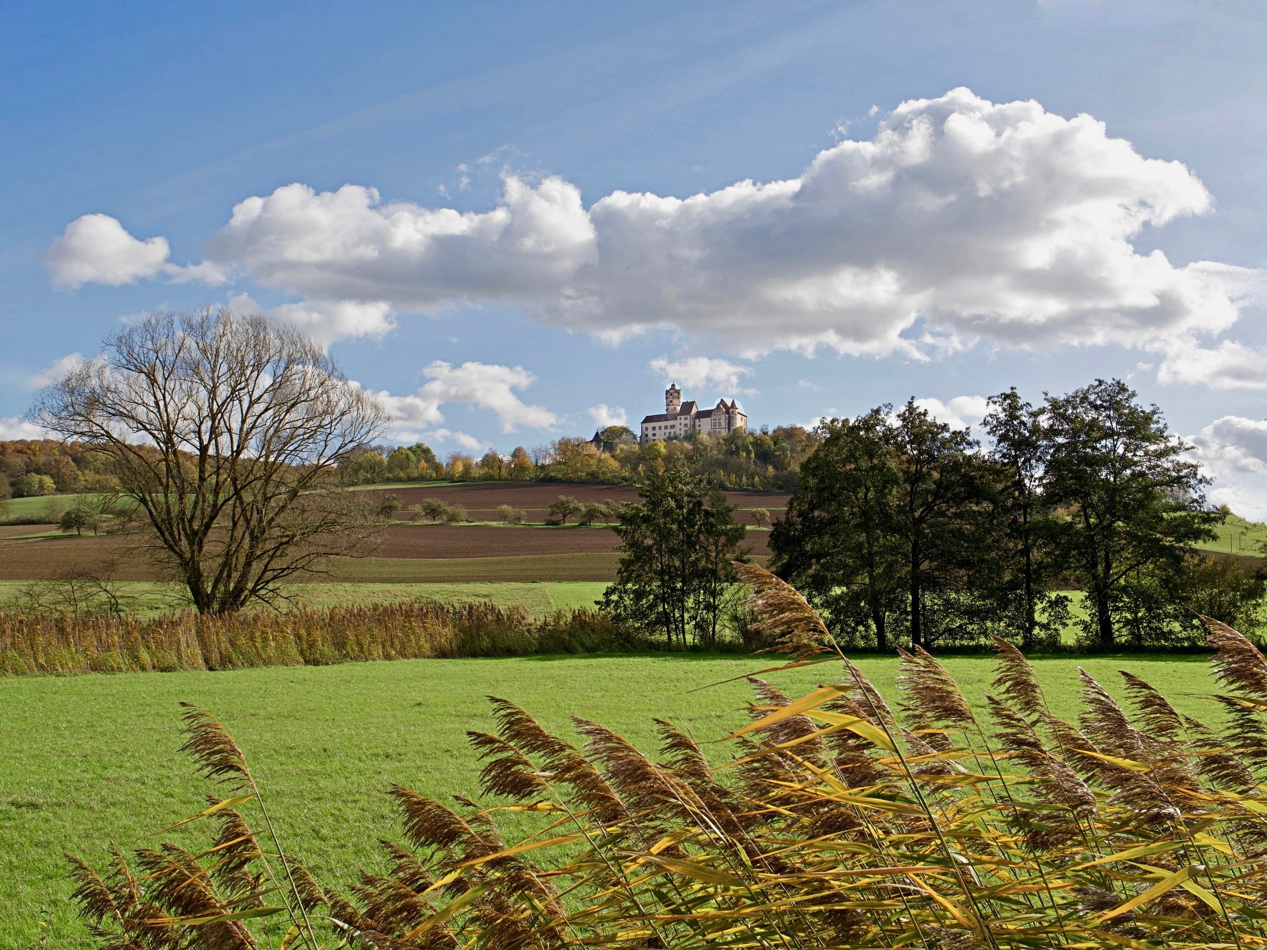 ... Dornröschens Domizil