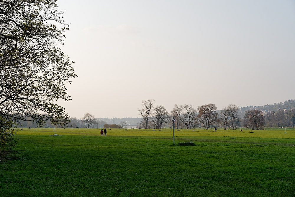 Dresden 2021 - 04 - Tolkewitz