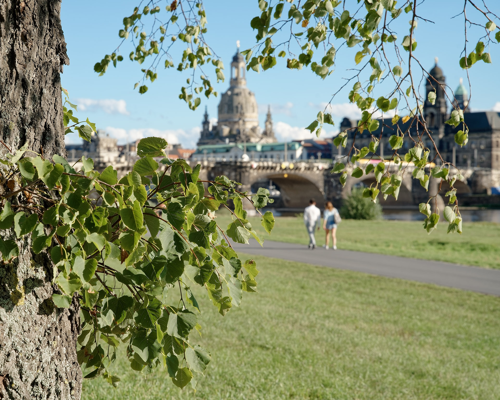 Dresden - Elbwiese